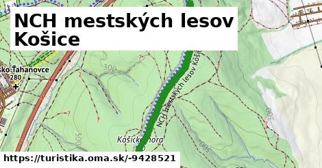 NCH mestských lesov Košice