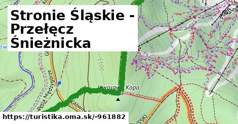 Stronie Śląskie - Przełęcz Śnieżnicka