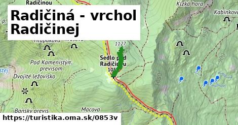 Radičiná - vrchol Radičinej