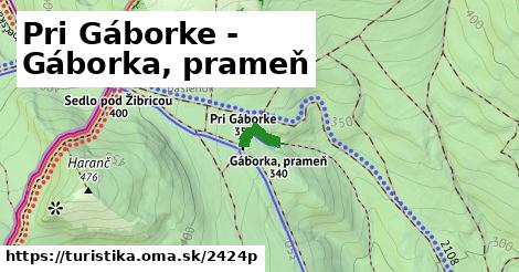 Pri Gáborke - Gáborka, prameň