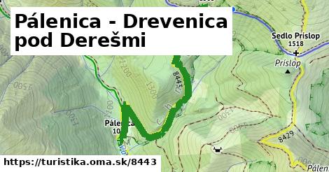 Pálenica - Drevenica pod Derešmi