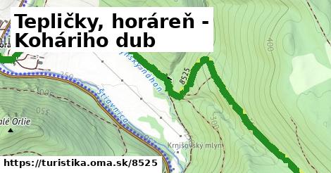 Tepličky, horáreň - Koháriho dub