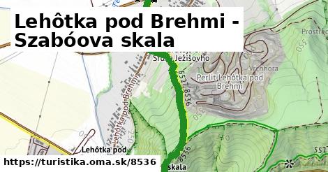 Lehôtka pod Brehmi - Szabóova skala