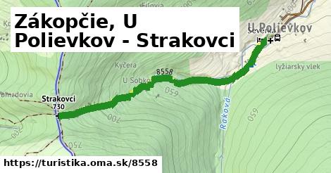 Zákopčie, U Polievkov - Strakovci