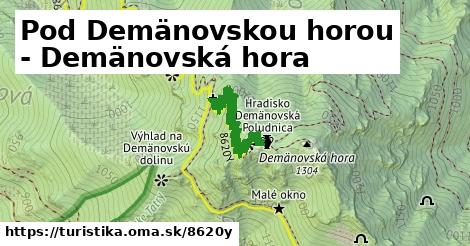 Pod Demänovskou horou - Demänovská hora