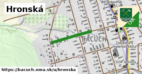 Hronská, Bacúch