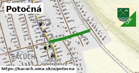 Potočná, Bacúch