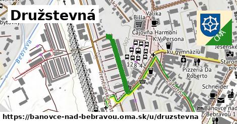 Družstevná, Bánovce nad Bebravou