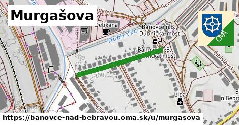 Murgašova, Bánovce nad Bebravou