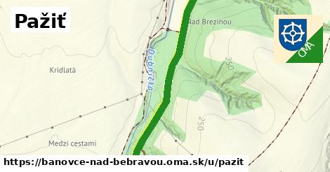 ilustrácia k Pažiť, Bánovce nad Bebravou - 1,33 km