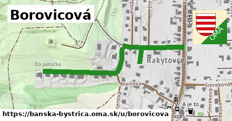 ilustrácia k Borovicová, Banská Bystrica - 573 m
