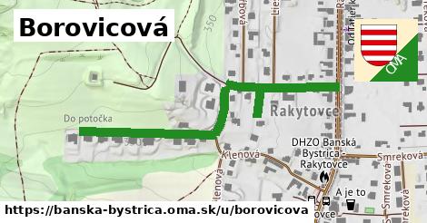 ilustrácia k Borovicová, Banská Bystrica - 573 m