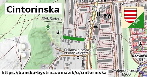 Cintorínska, Banská Bystrica