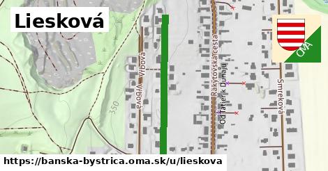 ilustrácia k Liesková, Banská Bystrica - 322 m