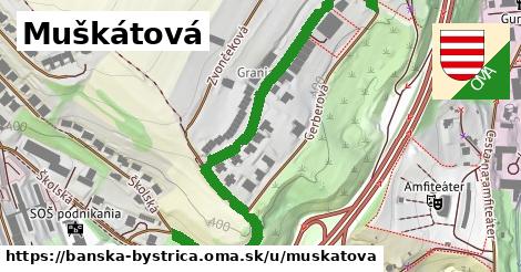 ilustrácia k Muškátová, Banská Bystrica - 650 m