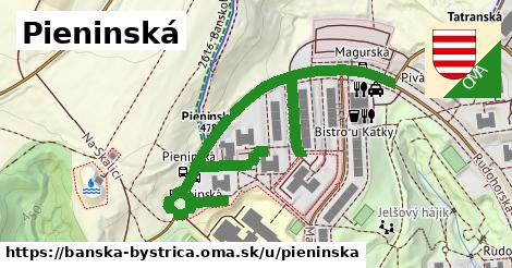 ilustrácia k Pieninská, Banská Bystrica - 0,78 km