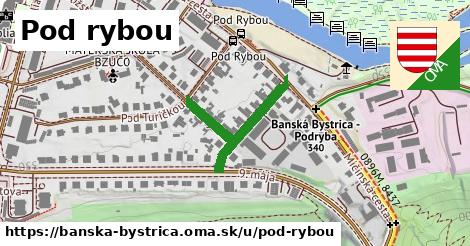 ilustrácia k Pod rybou, Banská Bystrica - 281 m