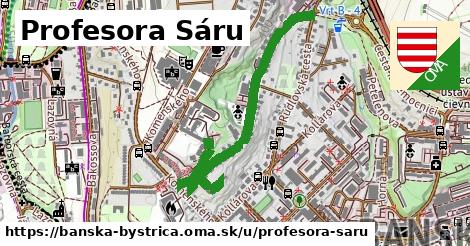 ilustrácia k Profesora Sáru, Banská Bystrica - 1,06 km