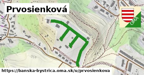Prvosienková, Banská Bystrica