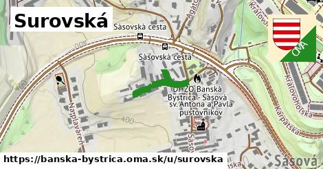 Surovská, Banská Bystrica