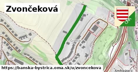 ilustrácia k Zvončeková, Banská Bystrica - 378 m