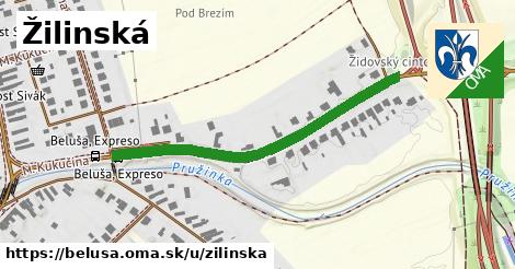 Žilinská, Beluša