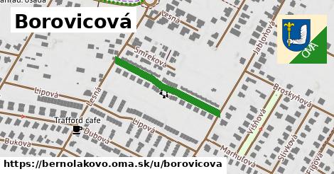 Borovicová, Bernolákovo