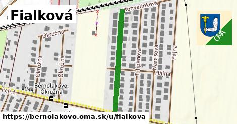 ilustrácia k Fialková, Bernolákovo - 334 m