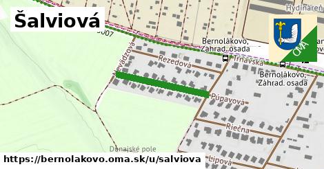 Šalviová, Bernolákovo