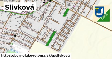 ilustrácia k Slivková, Bernolákovo - 342 m