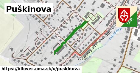 Puškinova, Bílovec