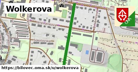 Wolkerova, Bílovec