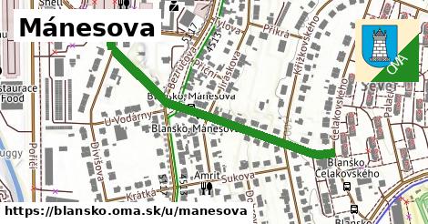 Mánesova, Blansko