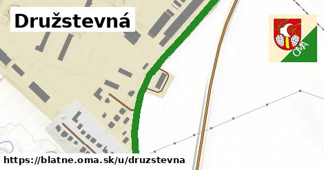 Družstevná, Blatné