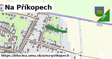 ilustrácia k Na Příkopech, Blučina - 120 m