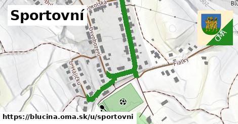 Sportovní, Blučina