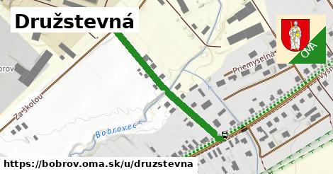 Družstevná, Bobrov