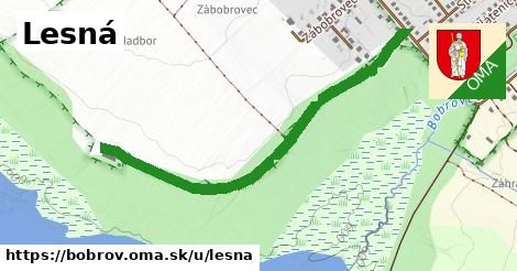 ilustrácia k Lesná, Bobrov - 1,08 km