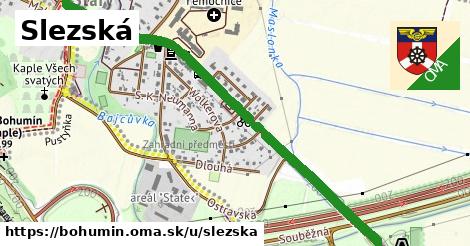 ilustrácia k Slezská, Bohumín - 1,90 km