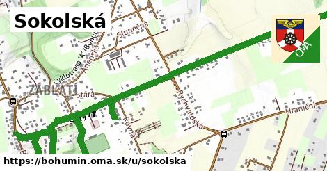 ilustrácia k Sokolská, Bohumín - 2,5 km