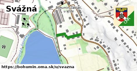 ilustrácia k Svážná, Bohumín - 145 m