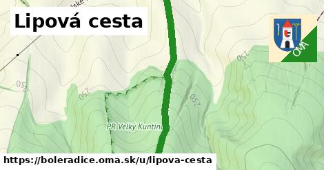 ilustrácia k Lipová cesta, Boleradice - 1,23 km