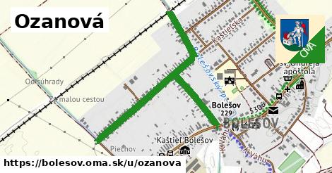 ilustrácia k Ozanová, Bolešov - 1,11 km