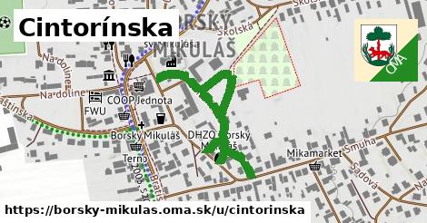 Cintorínska, Borský Mikuláš