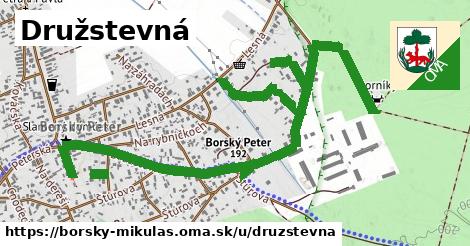 Družstevná, Borský Mikuláš