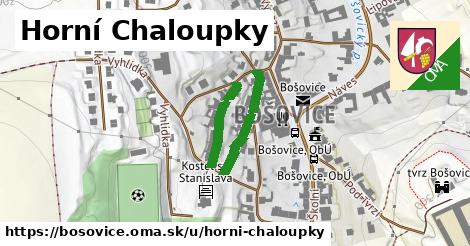 ilustrácia k Horní Chaloupky, Bošovice - 318 m