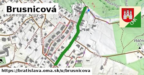 ilustrácia k Brusnicová, Bratislava - 349 m