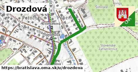 Drozdová, Bratislava