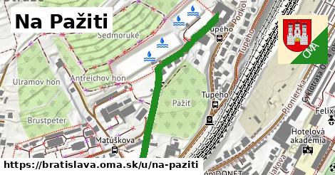 ilustrácia k Na Pažiti, Bratislava - 441 m
