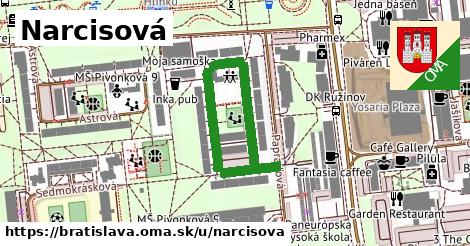 ilustrácia k Narcisová, Bratislava - 490 m